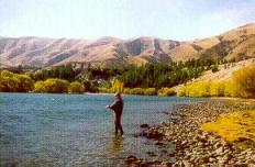 Fishing the Clutha (Photo not taken from property)